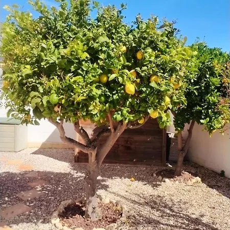 بيت للعطل Estrella *