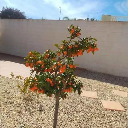 Estrella * San Fulgencio